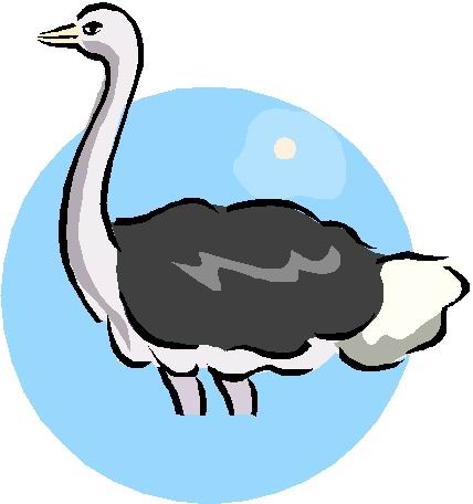 Ostriches clip art