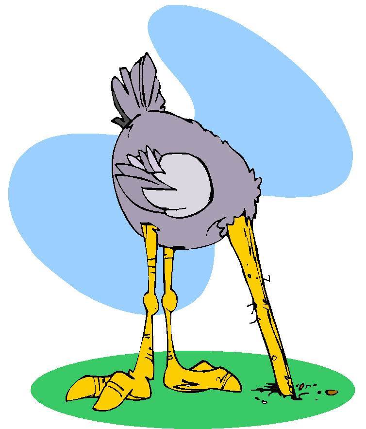 Ostriches clip art