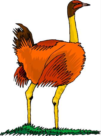 Ostriches clip art