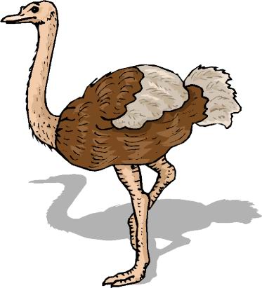 Ostriches clip art