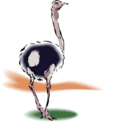 Ostriches clip art