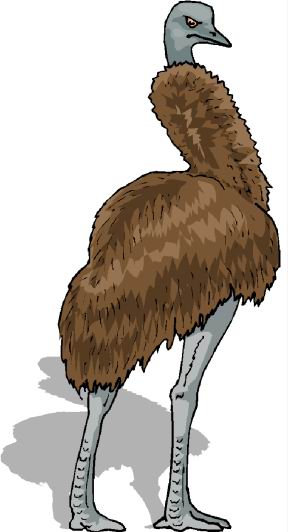 Ostriches clip art