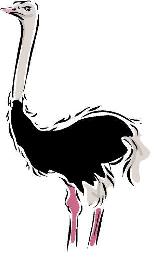 Ostriches clip art