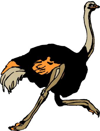 Ostriches clip art