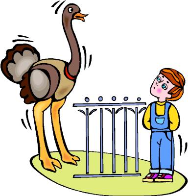 Ostriches clip art