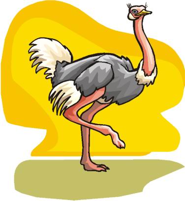 Ostriches clip art