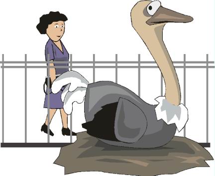 Ostriches clip art