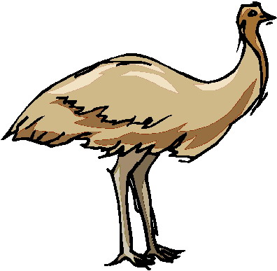 Ostriches clip art