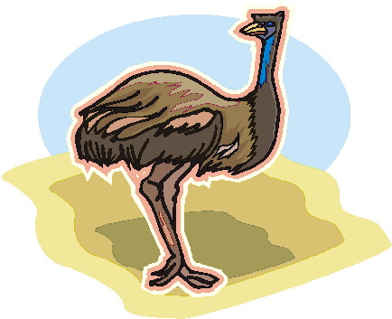 Ostriches