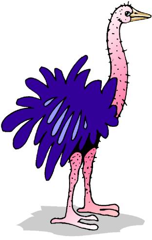 Ostriches clip art