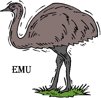 Ostriches clip art