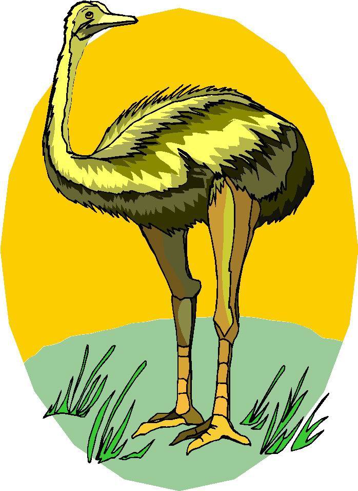 Ostriches clip art