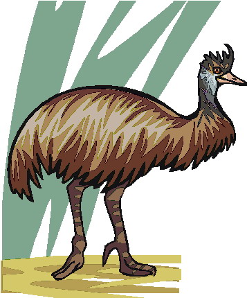 Ostriches clip art