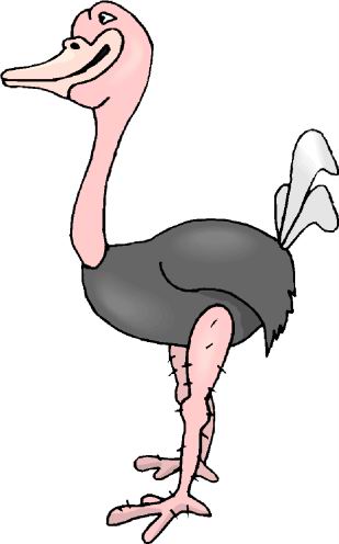 Ostriches clip art