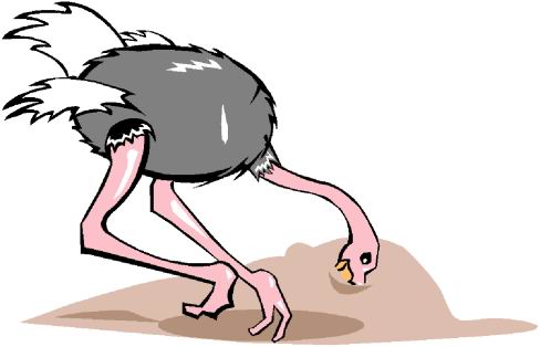 Ostriches clip art