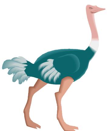Ostriches clip art