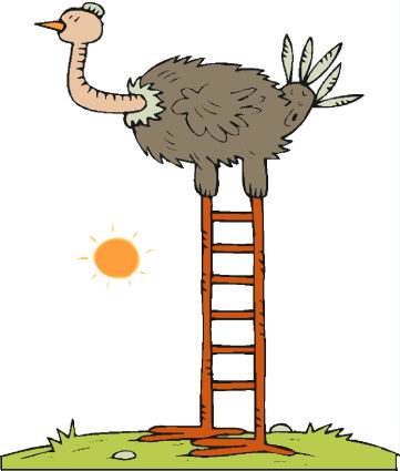 Ostriches clip art