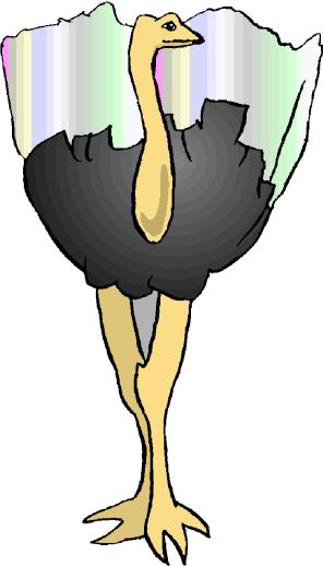 Ostriches clip art