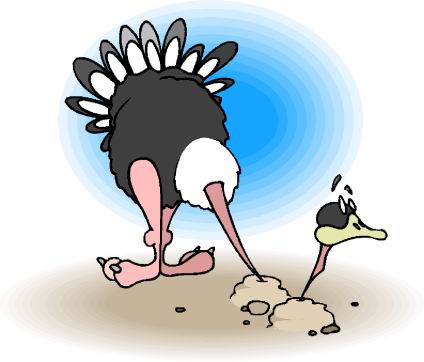 Ostriches clip art