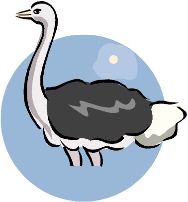 Ostriches clip art