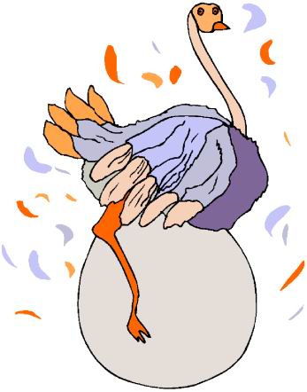 Ostriches clip art