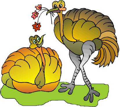 Ostriches clip art