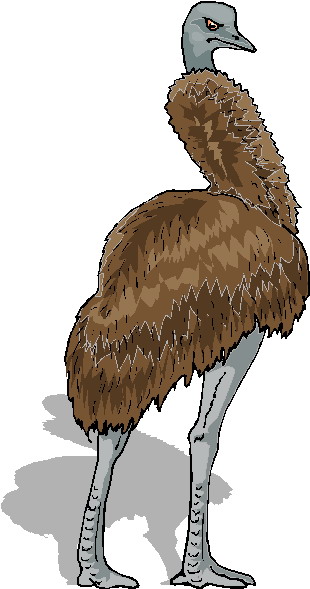 Ostriches clip art