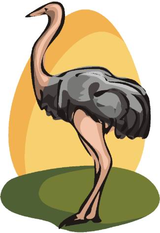 Ostriches clip art