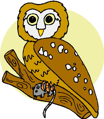 Owls clip art