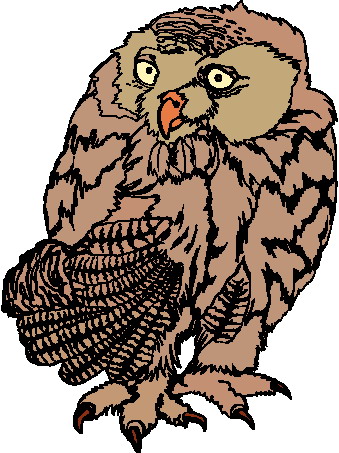 Owls clip art