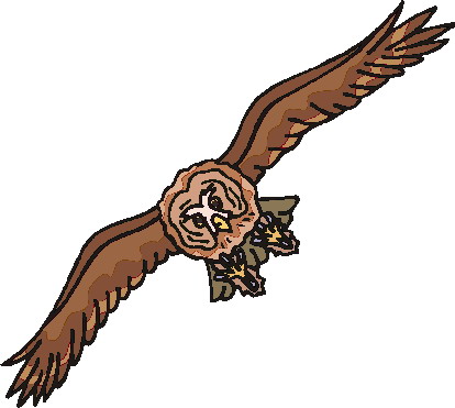 Owls clip art