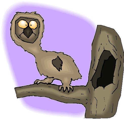 Owls clip art