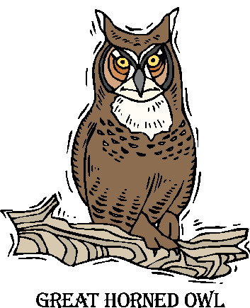 Owls clip art