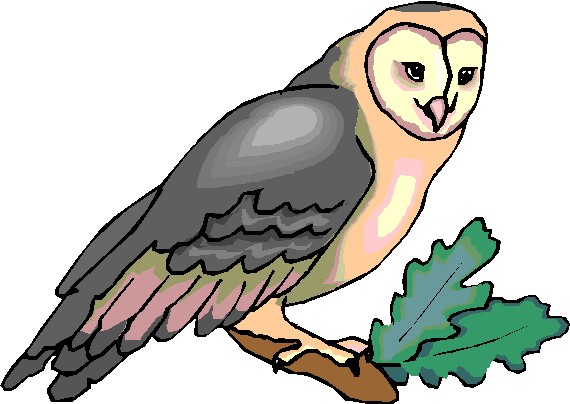 Owls clip art