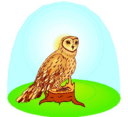 Owls clip art