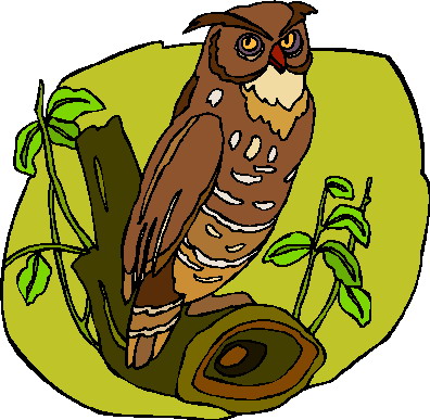 Owls clip art