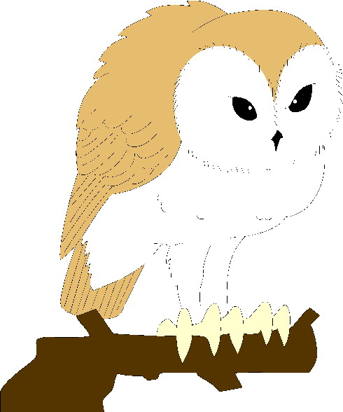 Owls clip art