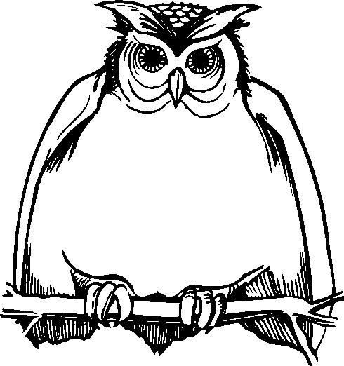 Owls clip art