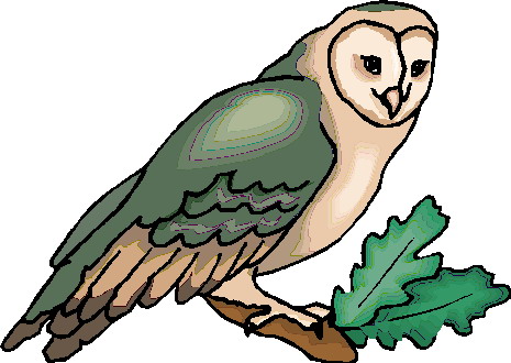 Owls clip art