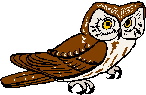 Owls clip art