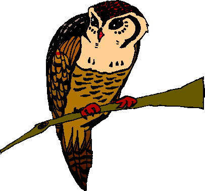 Owls clip art