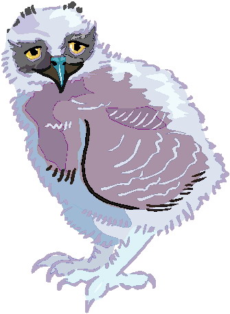 Owls clip art