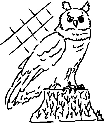 Owls clip art