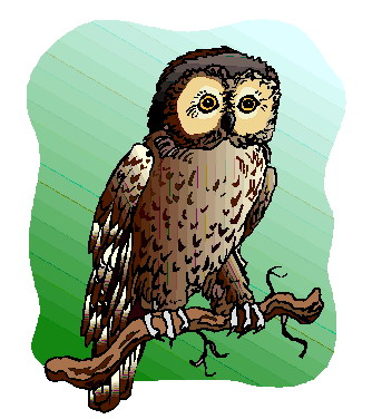 Owls clip art