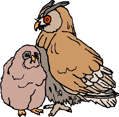 Owls clip art