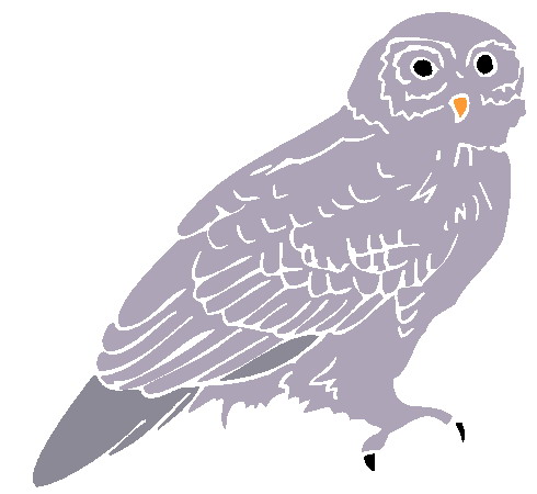 Owls clip art