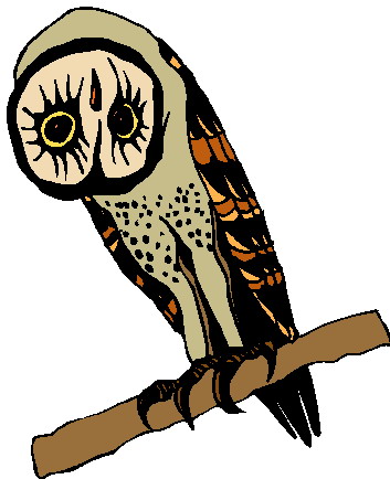 Owls clip art