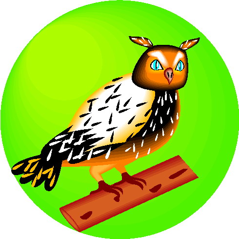 Owls clip art