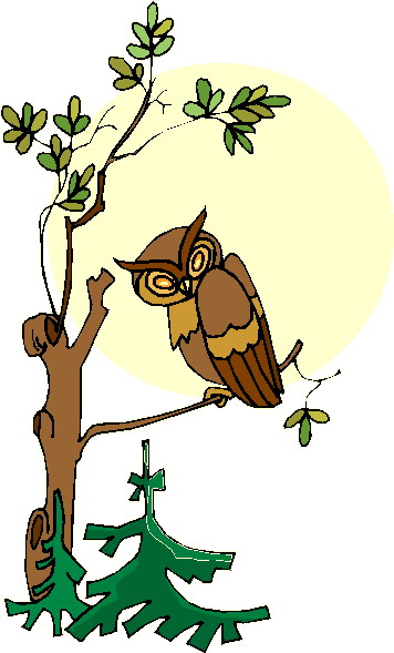 Owls clip art