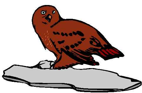 Owls clip art